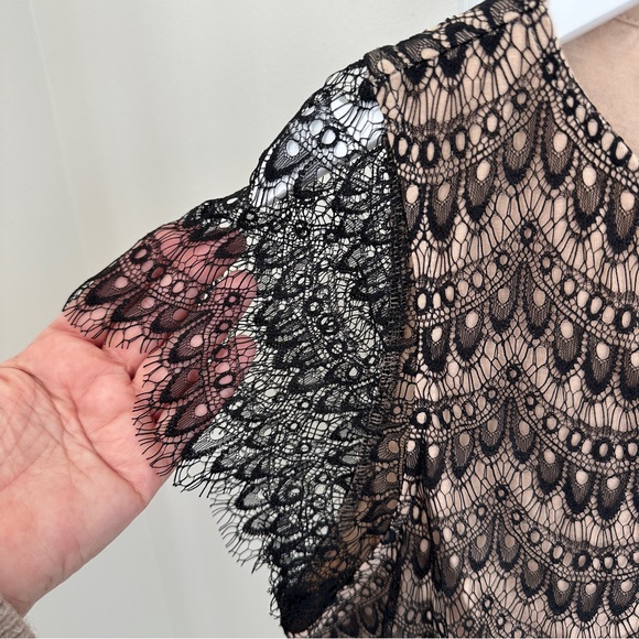 Ann Taylor Black Lace Overlay Blouse with Tan Cotton Lining Size Large - Picture 5 of 11
